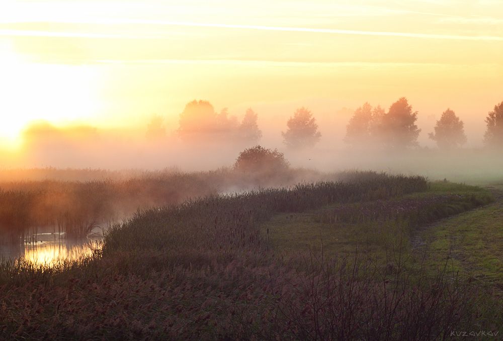 Morning in July
