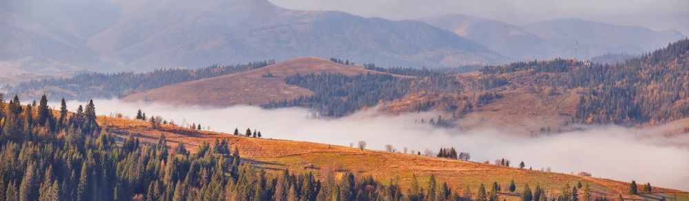 Ноябрьские панорамы