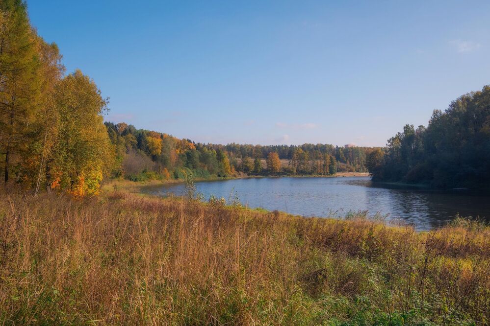 Золотая осень. Речка Синичка