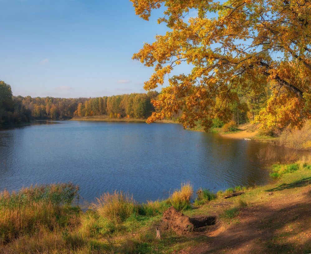 Золотая осень. Речка Синичка
