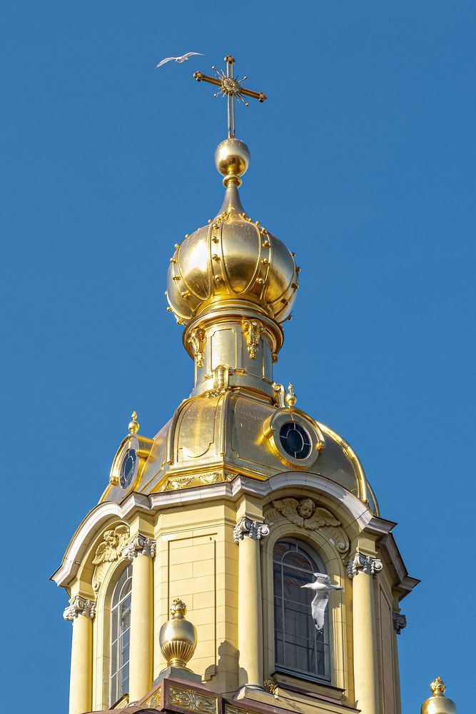 Чайки над Петропавловским Собором
