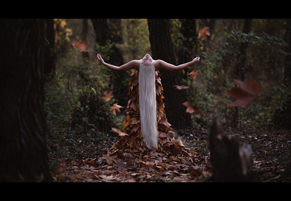 An Autumn Story
