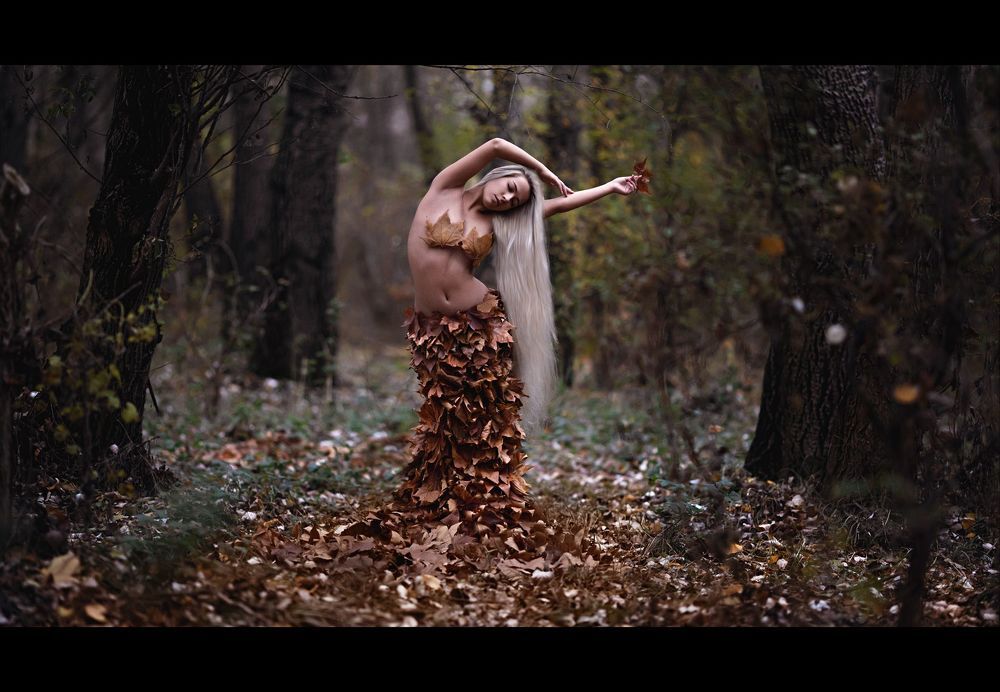 An Autumn Story