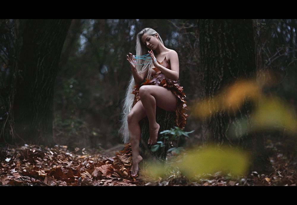 An Autumn Story