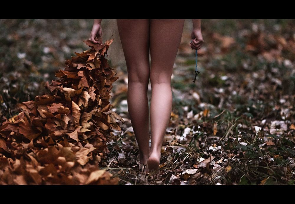 An Autumn Story