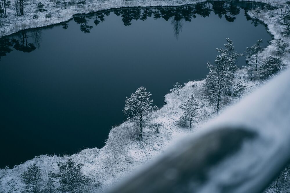 Cold winter landscape frozen snow swamp Kemeri