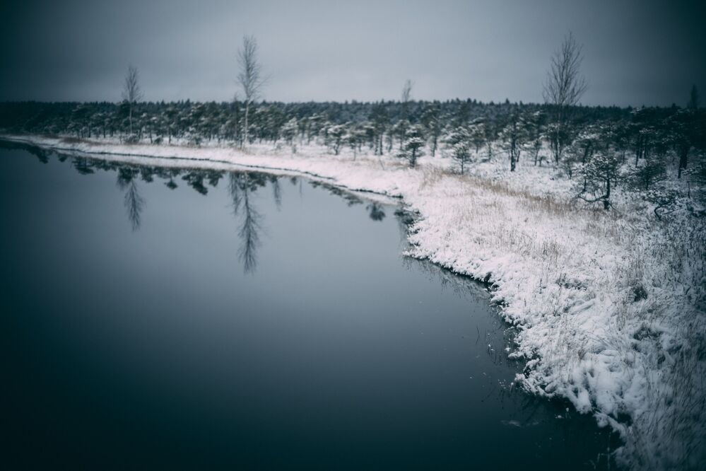 Cold winter landscape frozen snow swamp Kemeri