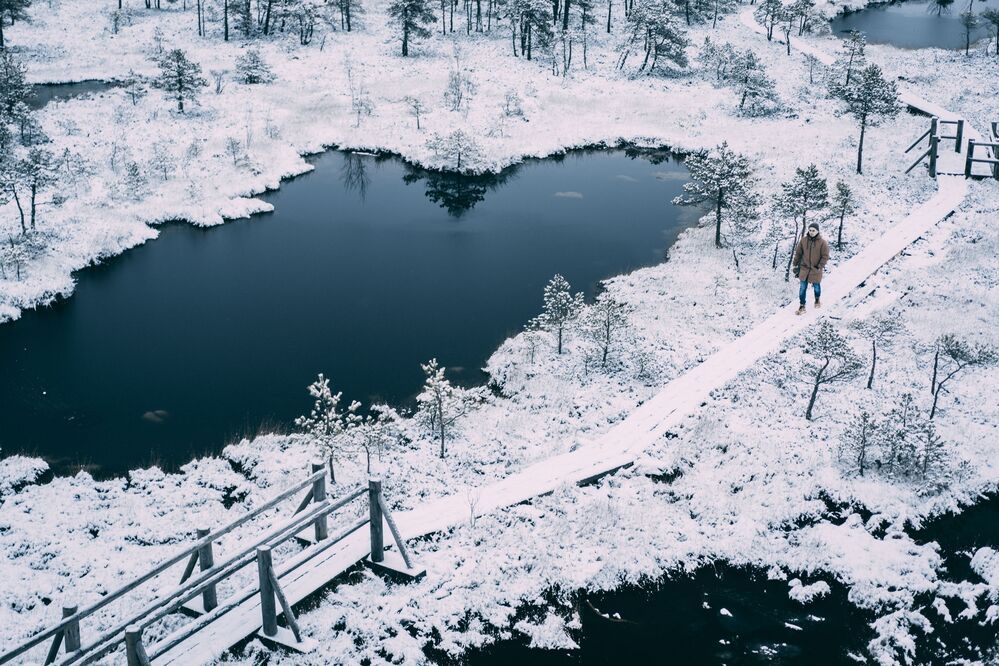 Cold winter landscape frozen snow swamp Kemeri