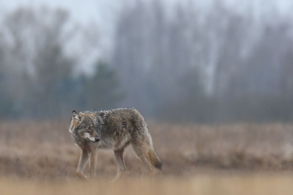 Photo 2052749