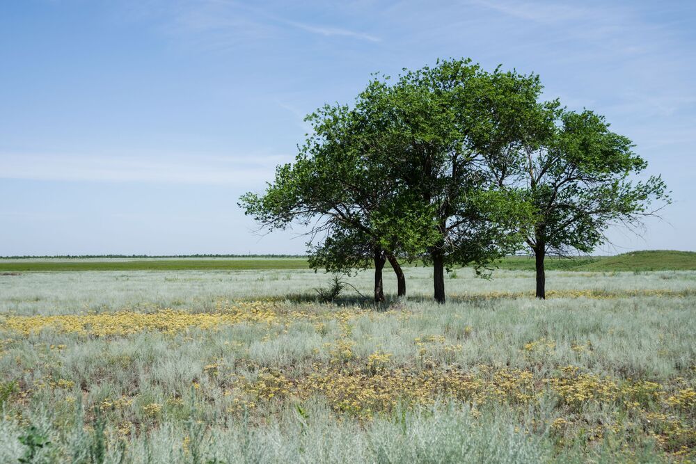 Photo 2053015