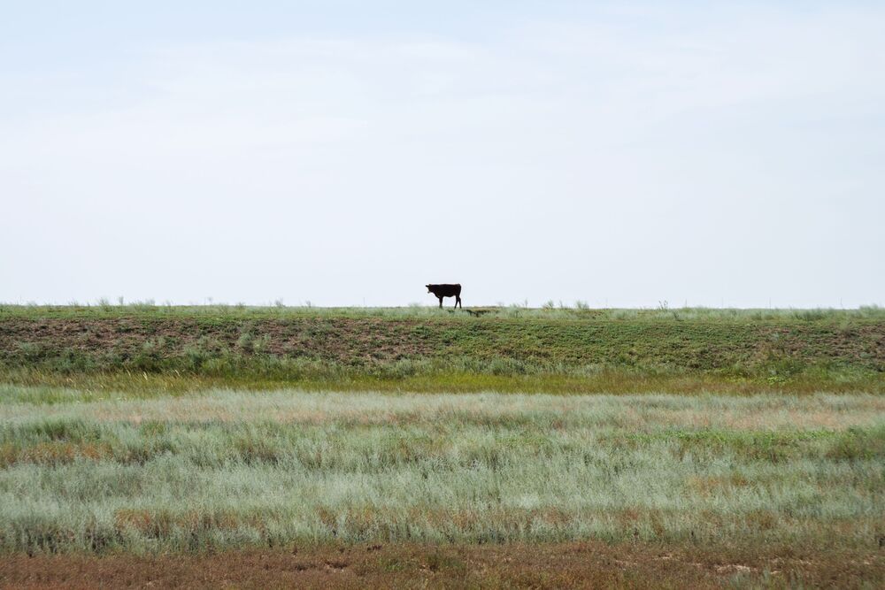 Photo 2053018