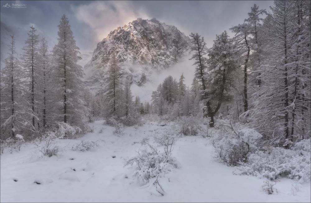 В Актру пришла зима ..