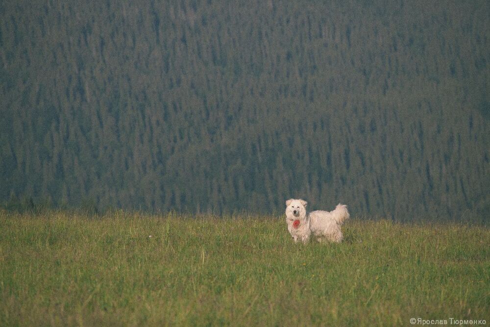Photo 2053359