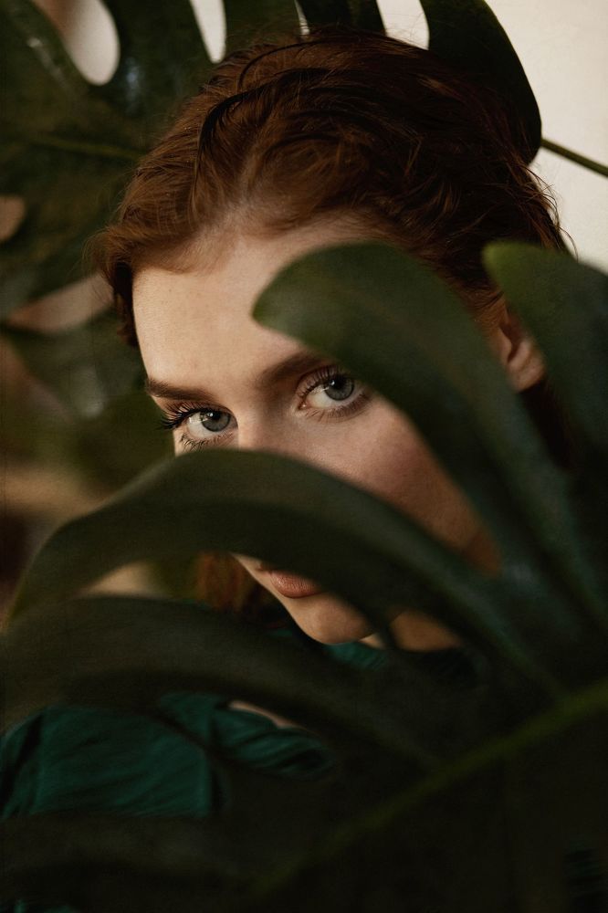 jungle
