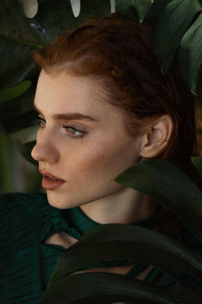 jungle