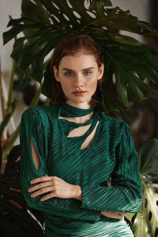 jungle