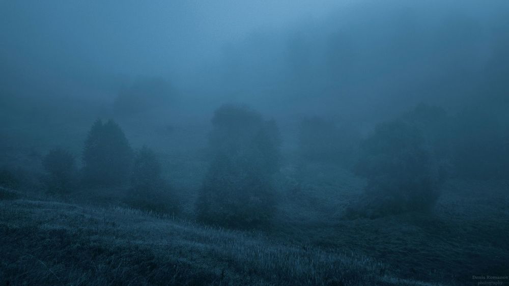 Twilight