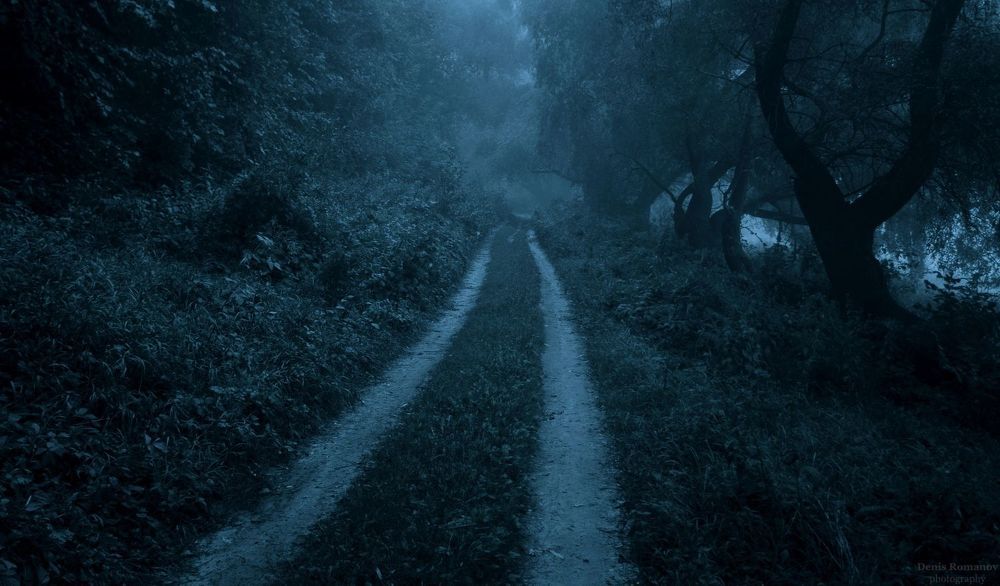 Twilight