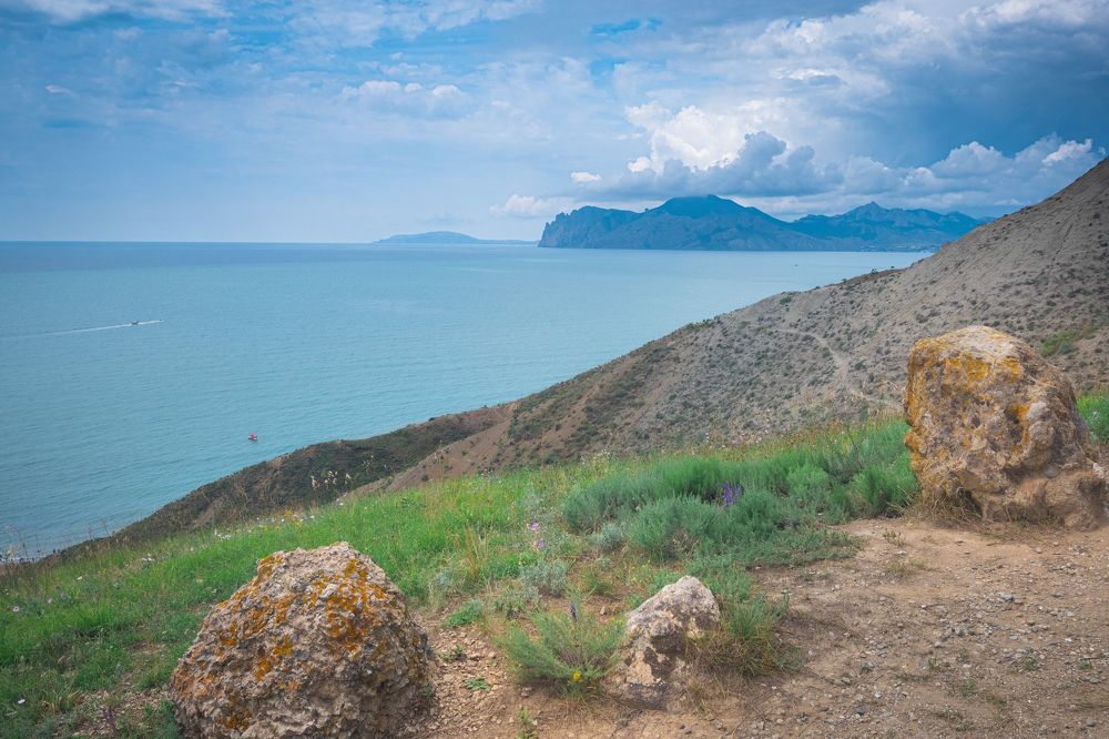 В Крыму этим летом
