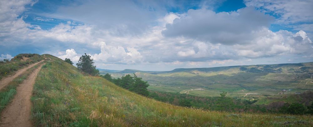 В Крыму этим летом