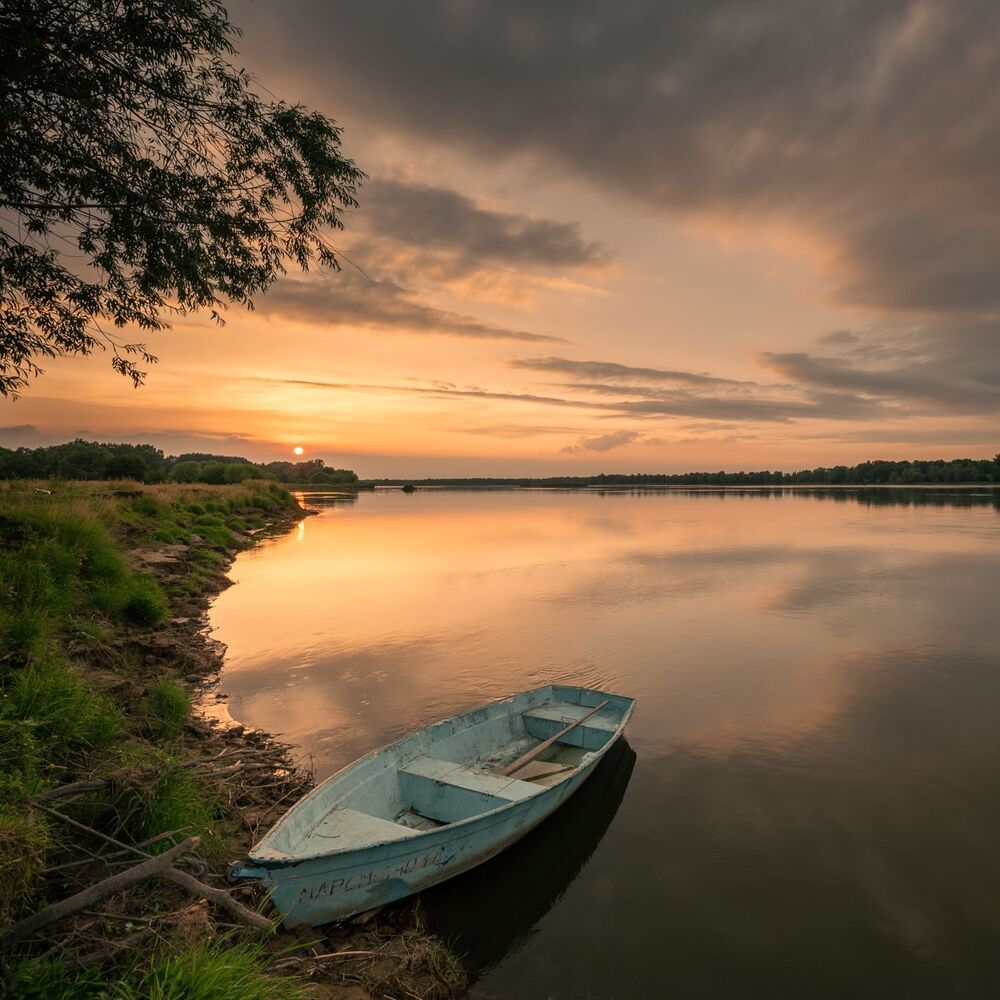 my landscapes