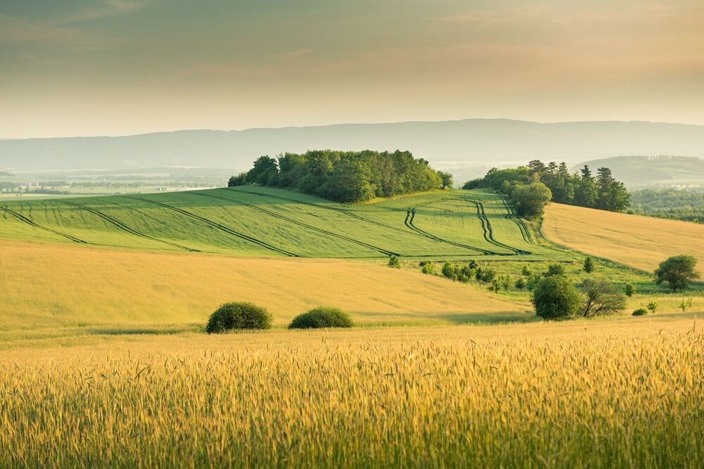 my landscapes