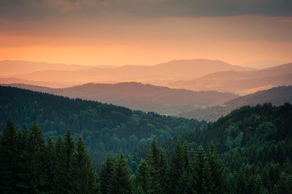 my landscapes