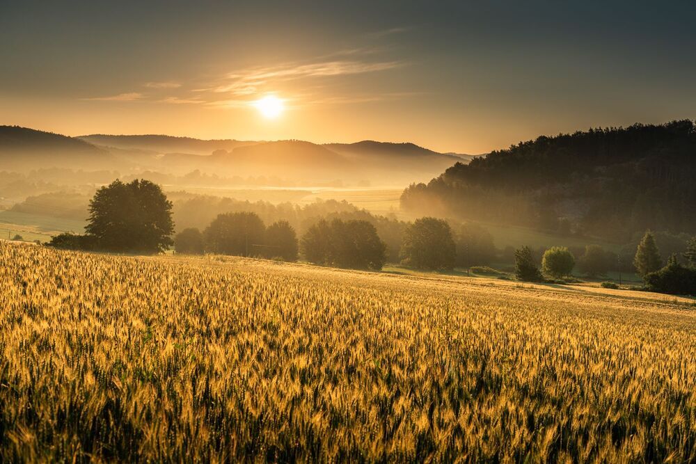my landscapes