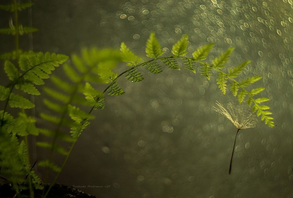 green*овая