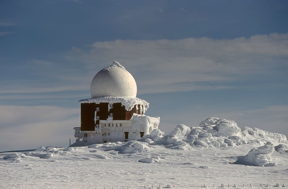 Пленочная фотография - 2021 г.
