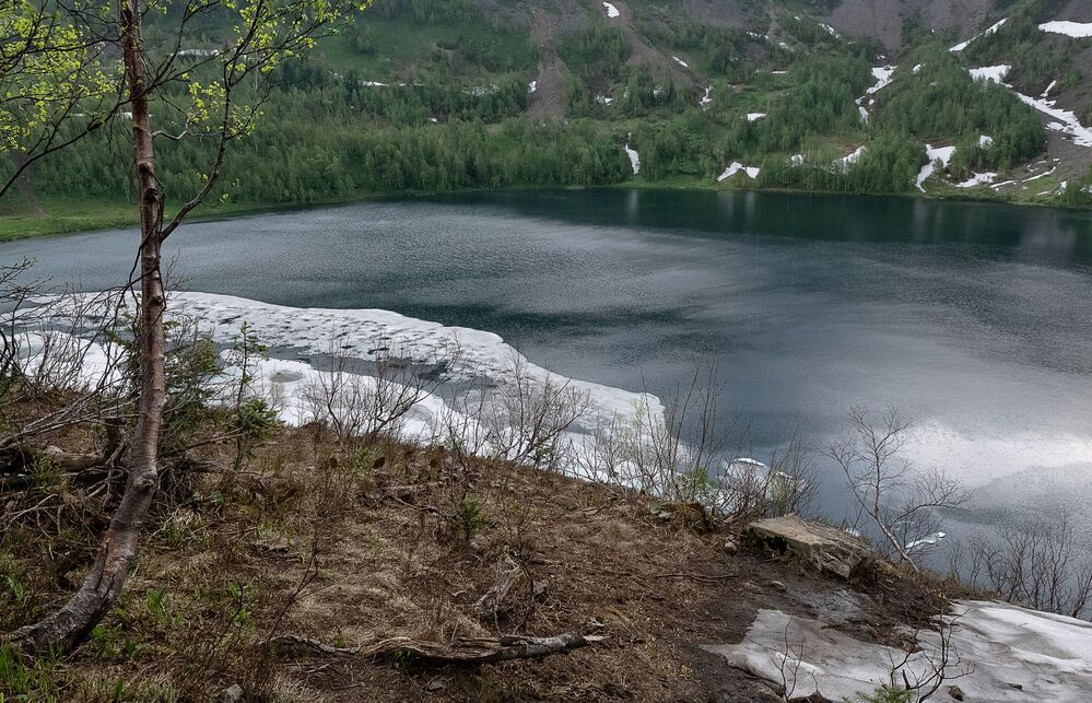 Летний снег.