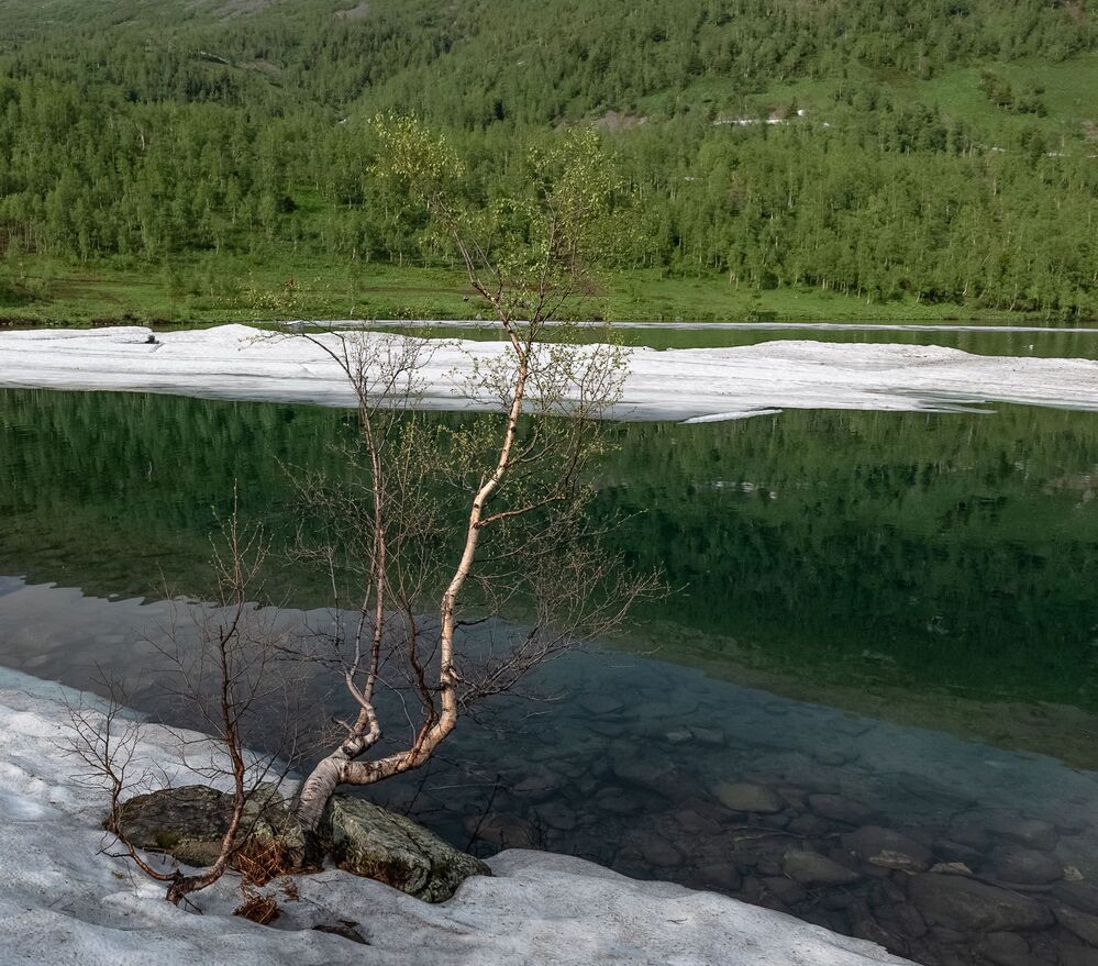 Летний снег.