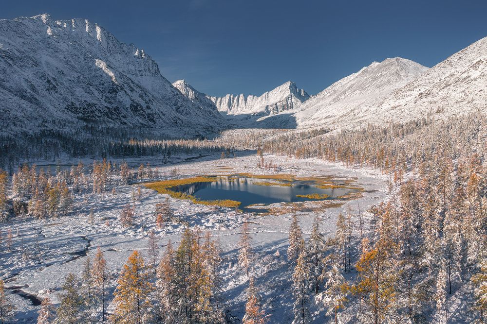Сентябрь. Снег. Пила.