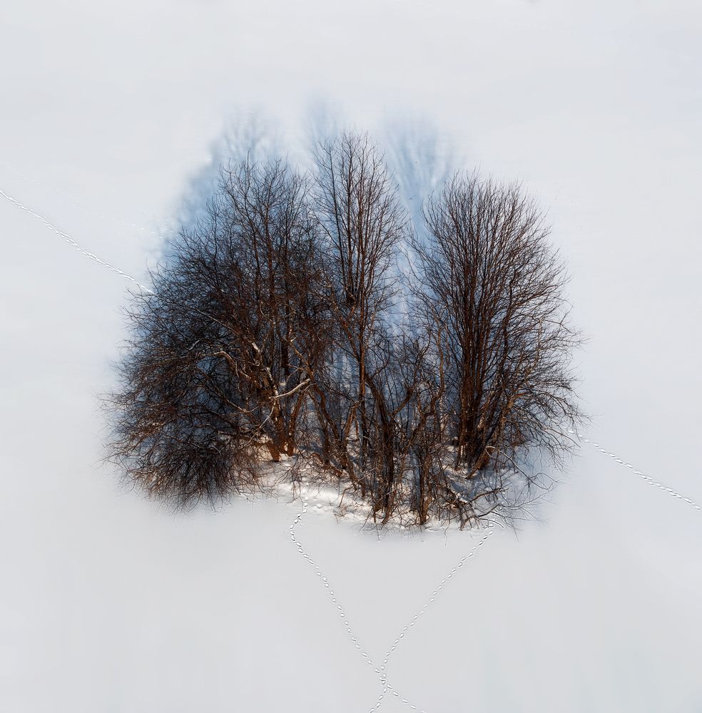 Зимние зарисовки