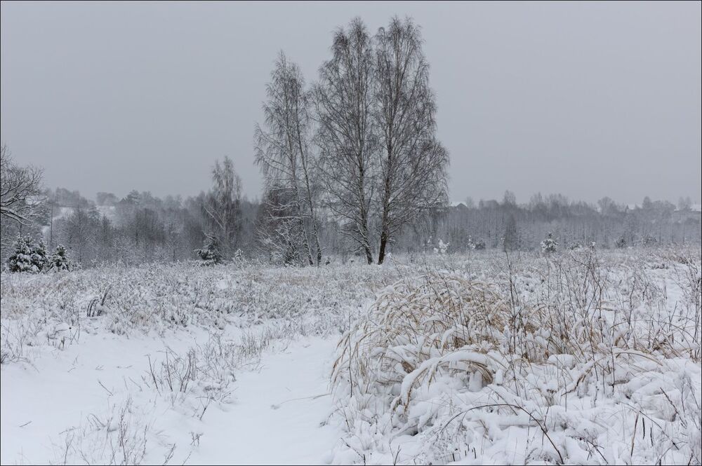 Первый снег на луговой дороге