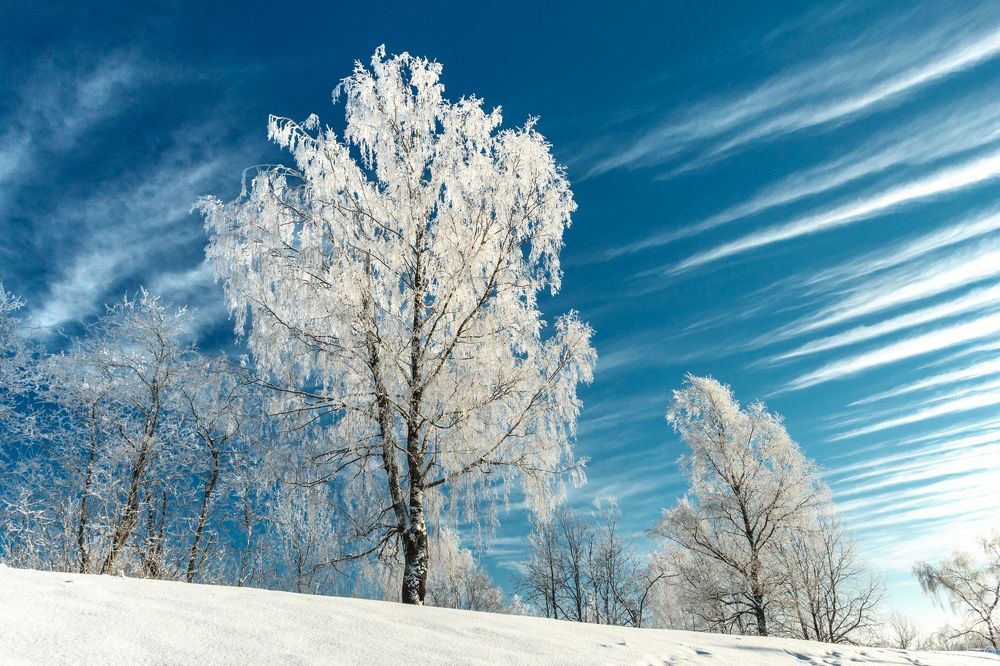 Валдай