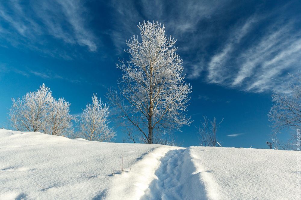 Валдай