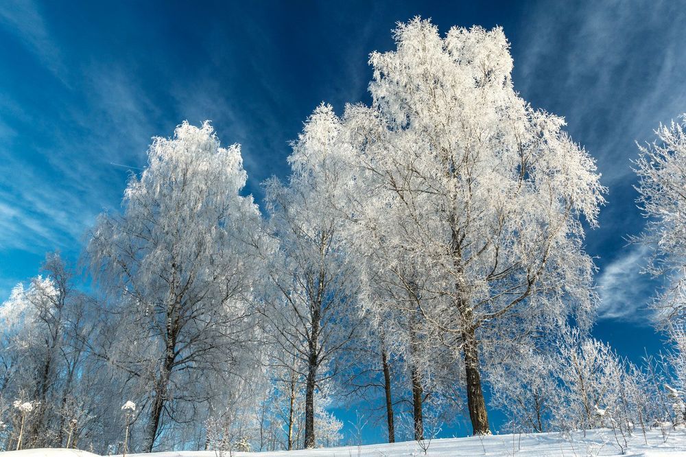 Валдай