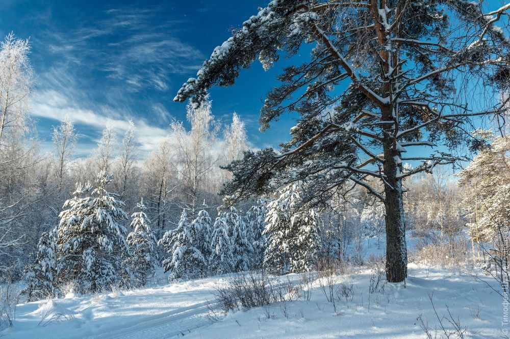 Валдай