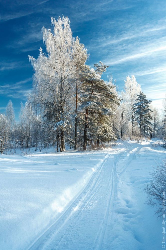 Валдай