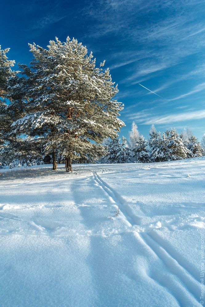 Валдай