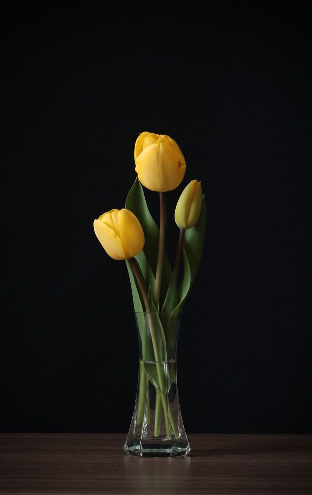 Photo 2059763