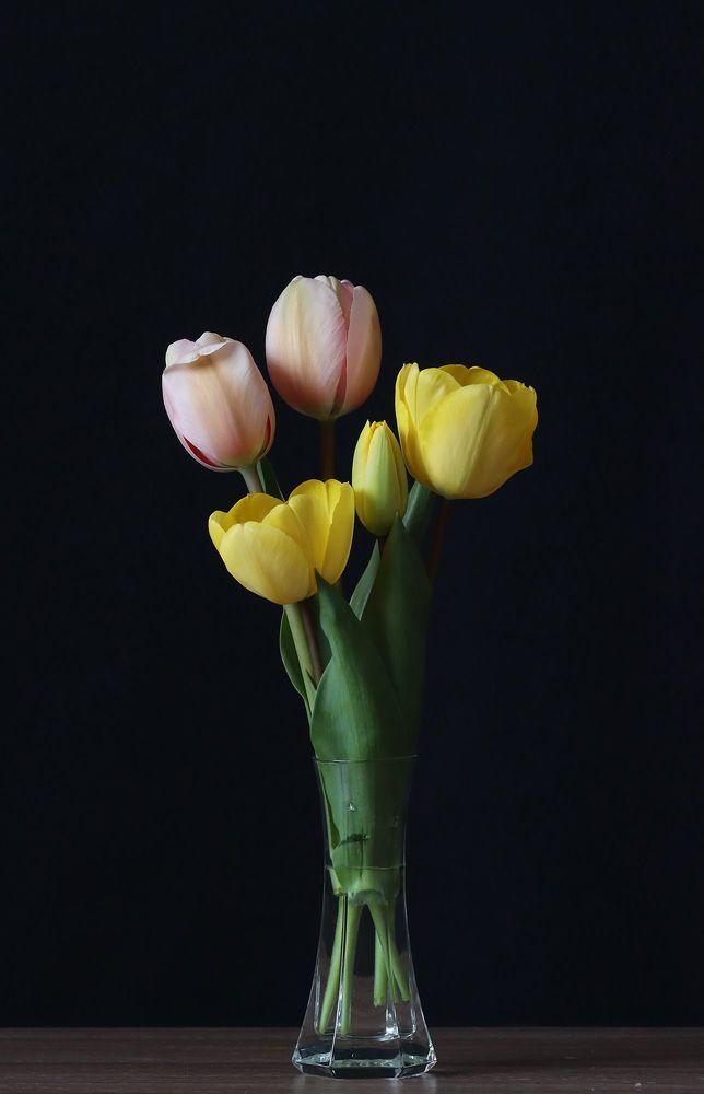 Photo 2059766