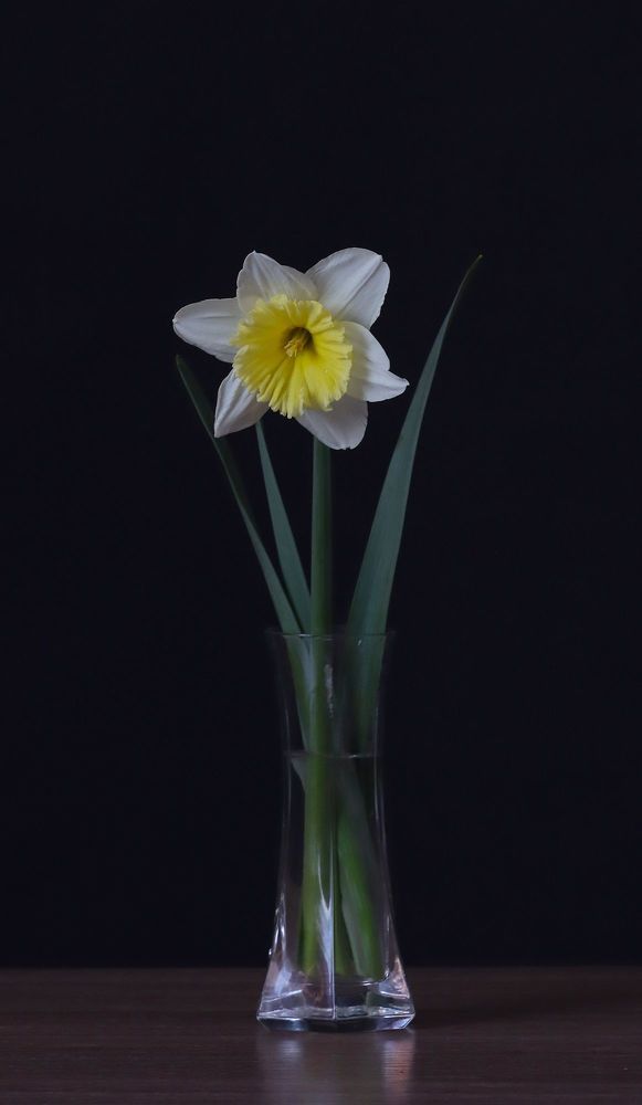 Photo 2059769