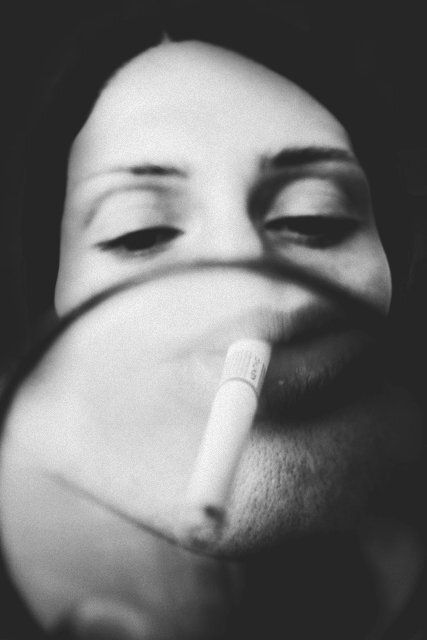 Photo 206494