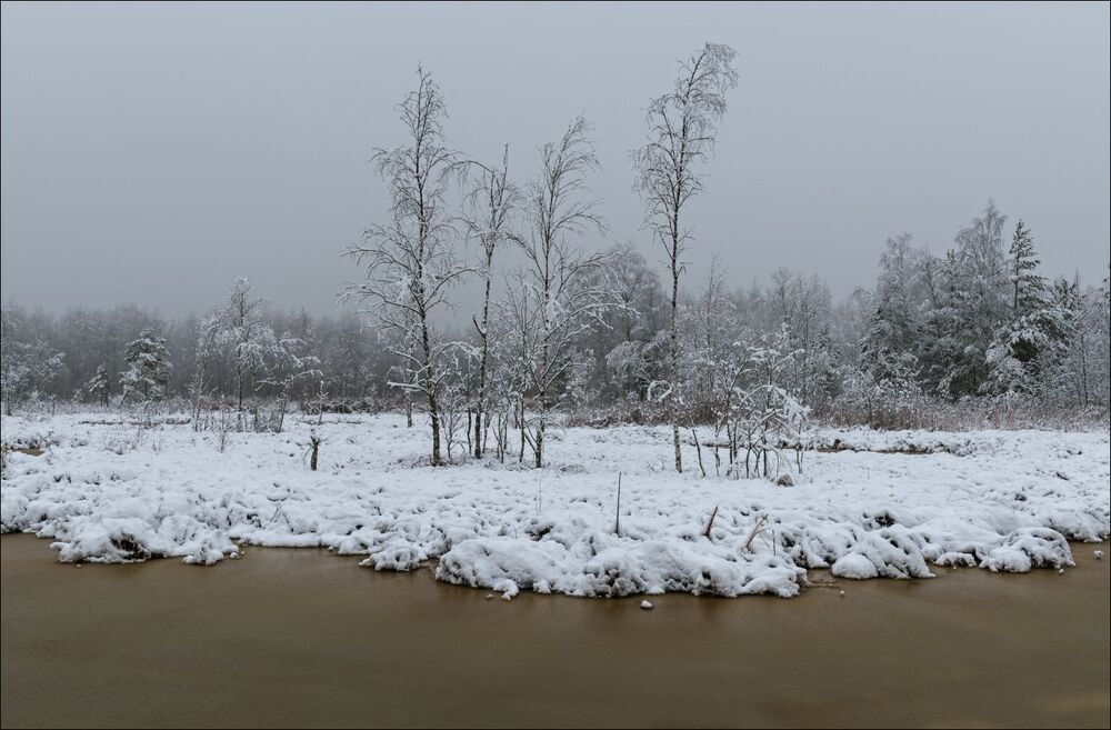 Заснеженные торфяные воды