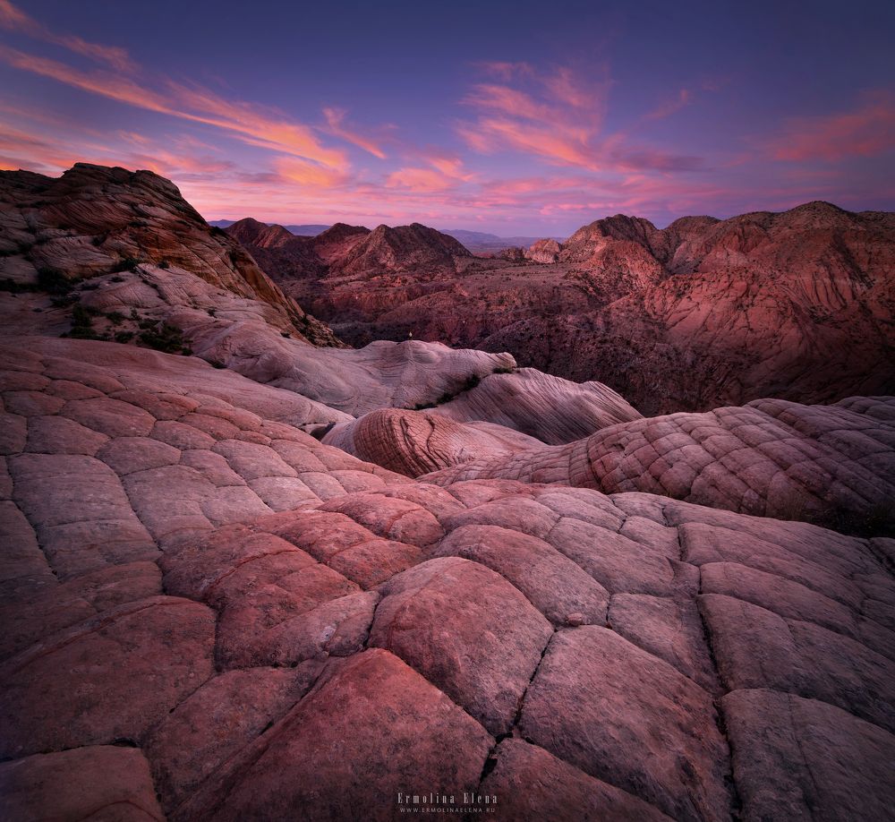 Yant Flat, Utah.