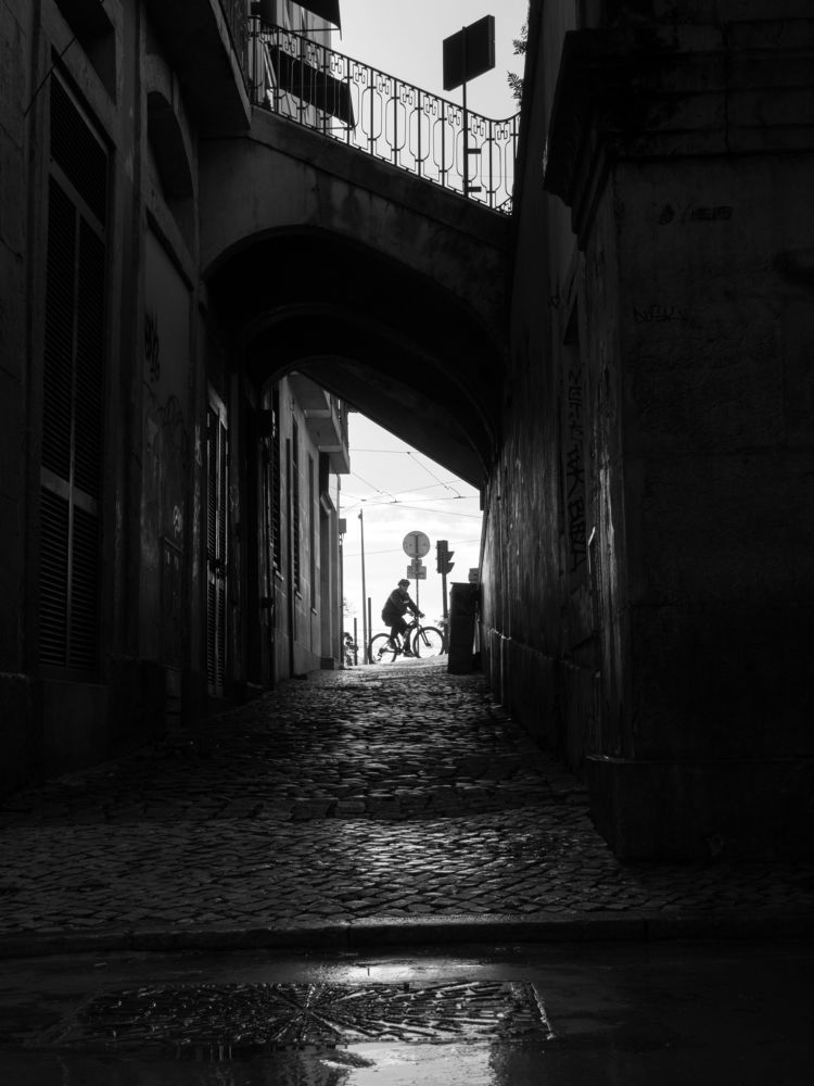 Lisbon study