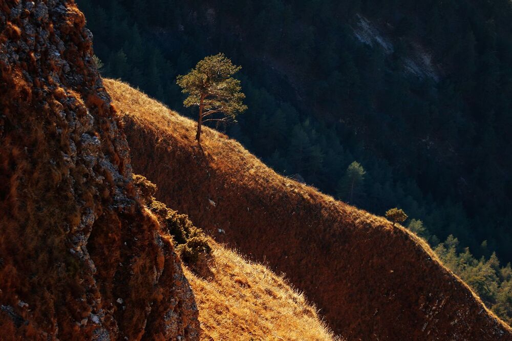 Осень в каньоне..