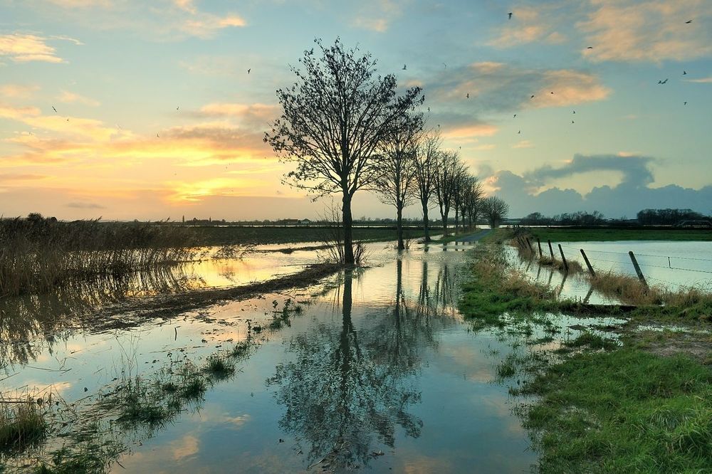 Flood.
